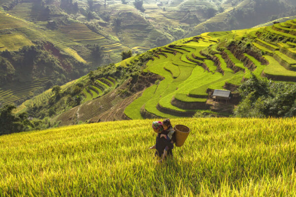 Things to Do in Vietnam