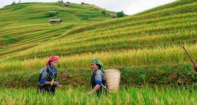 Northern Vietnam 6 Day Itinerary