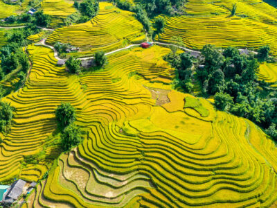 Best Time to Visit Vietnam