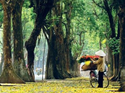 8 Day Vietnam Itinerary Central to North