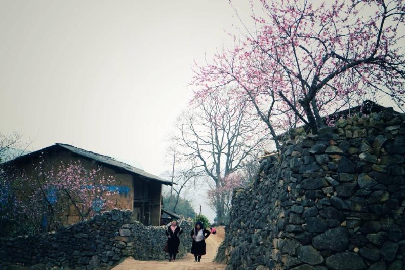 486241436_1683866179158558_1350662597747936994_n