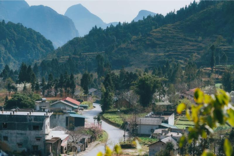 486559359_1684130442465465_6129076571382699530_n