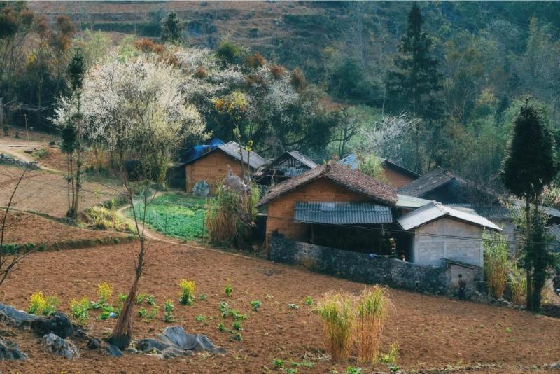 486609418_1684130435798799_8545490941416856310_n