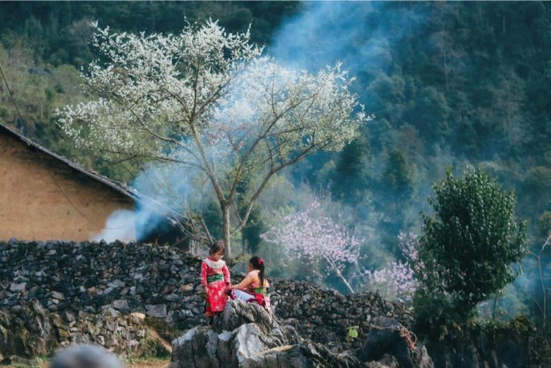 486748711_1684130432465466_5585073457871684469_n