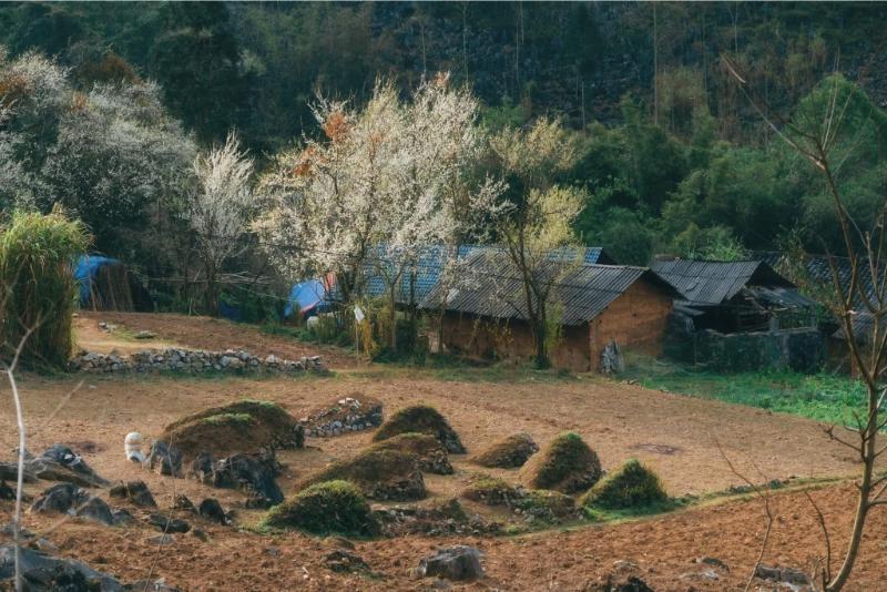 486828205_1684130455798797_7161001874953693037_n