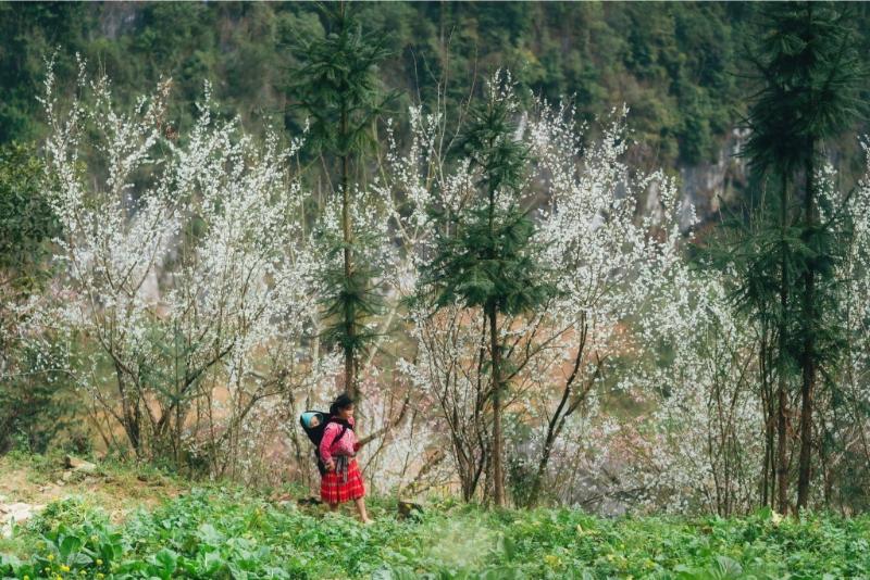 486834182_1684130595798783_3865176844597759405_n