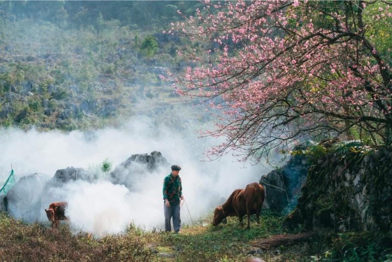 487123132_1684130465798796_6711710241121624391_n