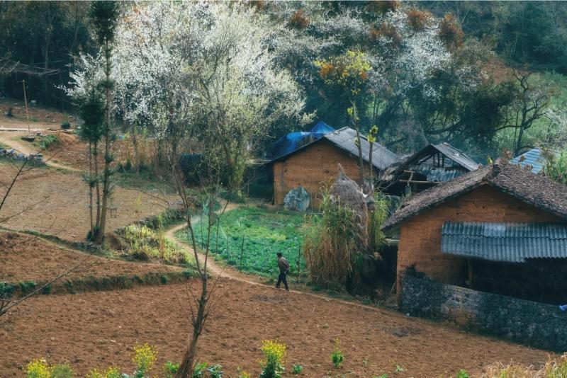 487200238_1684130612465448_4873557527669600207_n