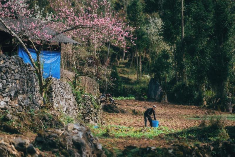 487218770_1684130452465464_3306602168414691996_n