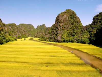Things to Do in Ninh Binh