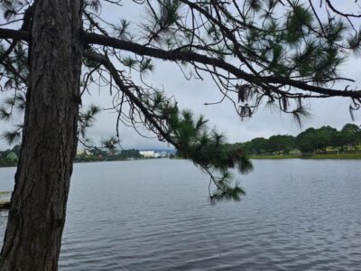 Things to Do in Da Lat