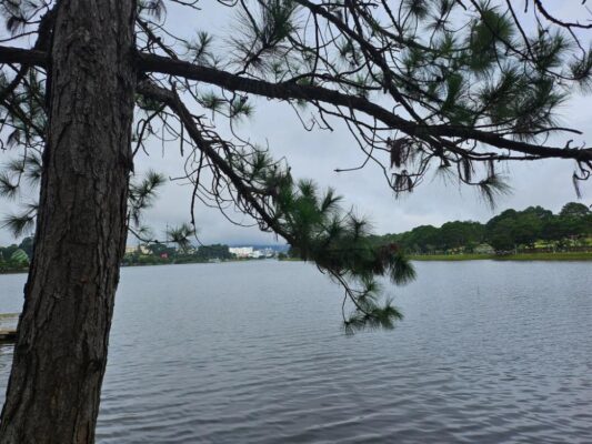 Things to Do in Da Lat