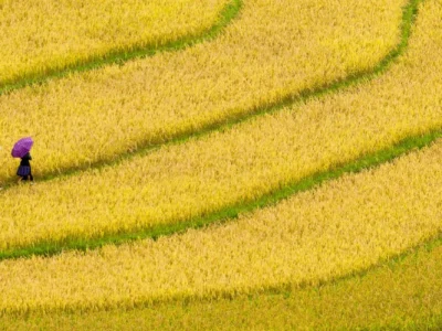 Best of Nature in Northern Vietnam 8 Days