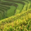 Best Cultural & Heritage Vietnam 12 Days