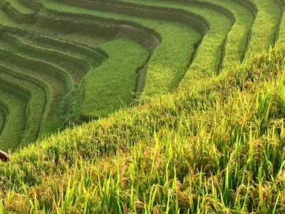 Best Cultural & Heritage Vietnam 12 Days