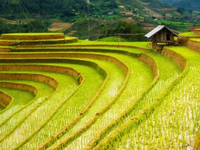 Discover the Best Ha Giang 4 Days