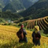 3-Night Sapa Trekking Tour with Homestay