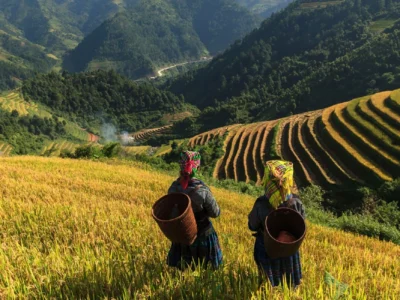 3-Night Sapa Trekking Tour with Homestay