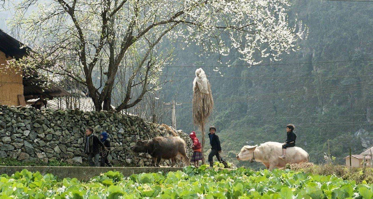 Vietnam Rainy Season