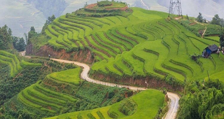 Best Times to Visit Sapa