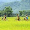 Amazing Vietnam 15 Day Tour