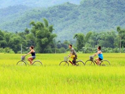 Amazing Vietnam 15 Day Tour