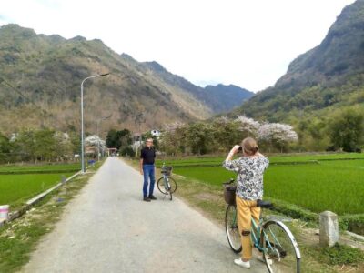 Vietnam Public Holidays