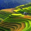 7 Day North Vietnam Itinerary