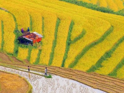 How to Get to Sapa from Hanoi