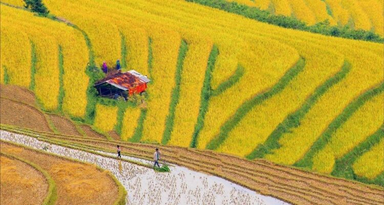 How to Get to Sapa from Hanoi