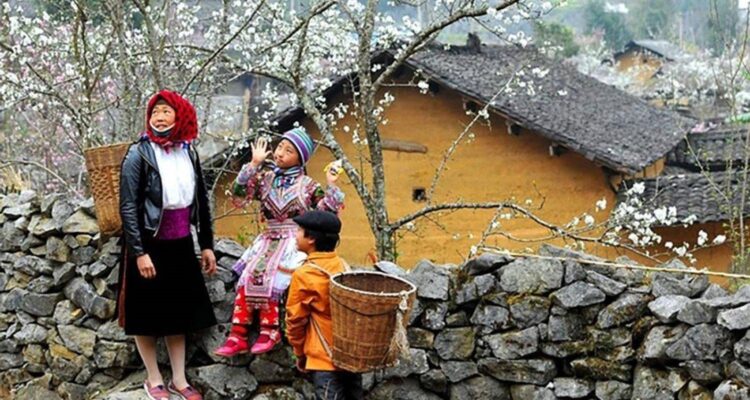 Vietnam Trekking Trails