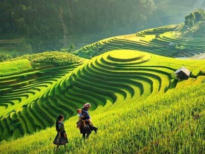 Vietnam Trekking Trails