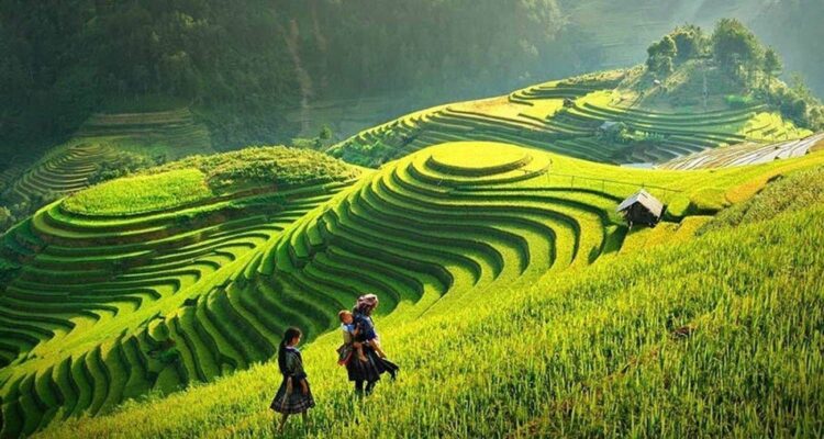 Vietnam Trekking Trails