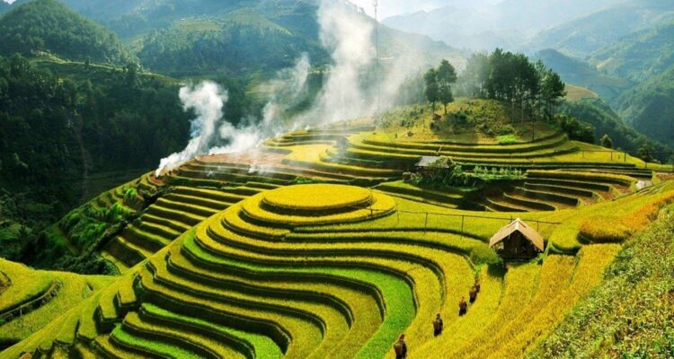 Sapa Trekking Guide