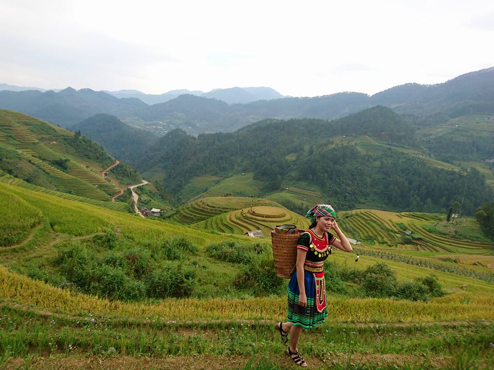 Sapa Bus Tickets from Hanoi